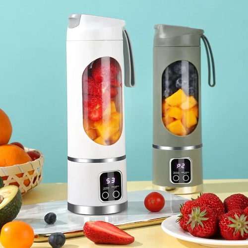 Portable Fruit Juicer 450ml